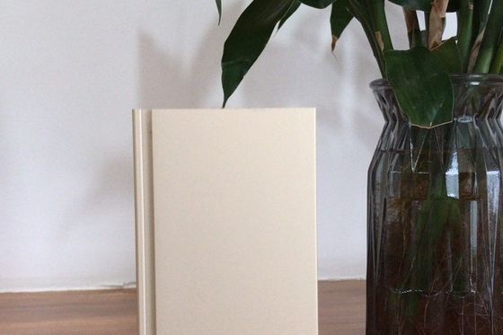 Dobra cena. Linia produkcyjna Manunal Oxidation o miesięcznej mocy dostaw 900 ton w Internecie